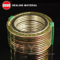 Professional Supplier on Spiral Wound Gasket with High Quality